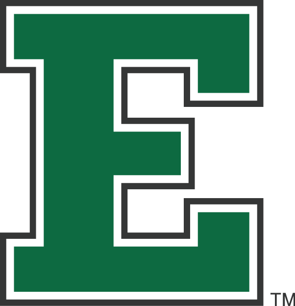 Eastern Michigan Eagles 1995-2001 Alternate Logo v3 DIY iron on transfer (heat transfer)